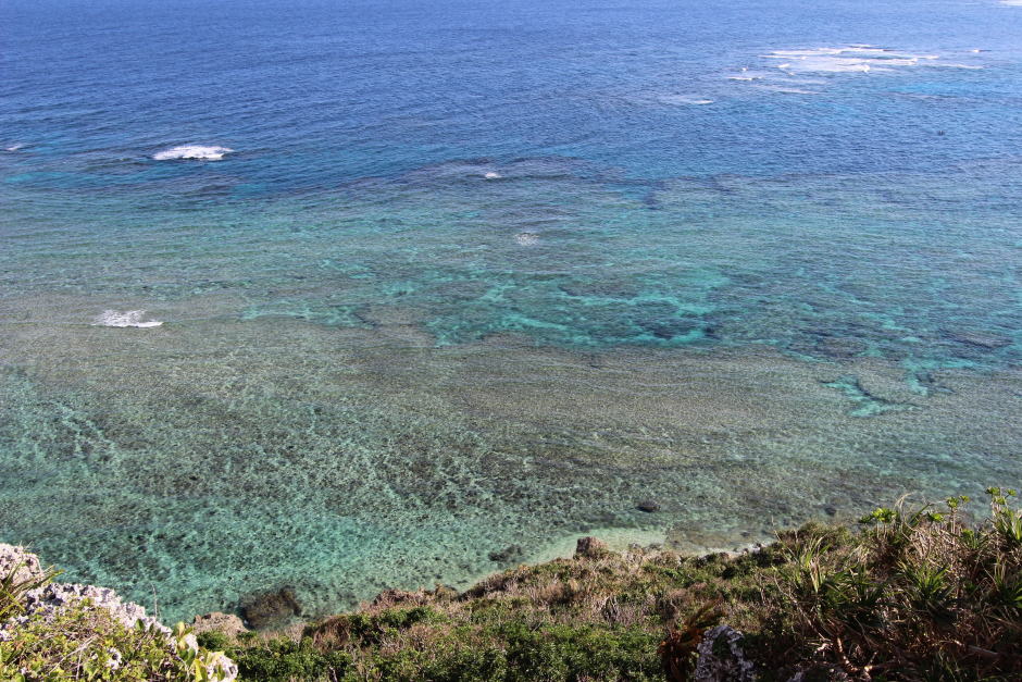 眼下の海