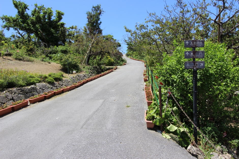 中城城跡へ続く道