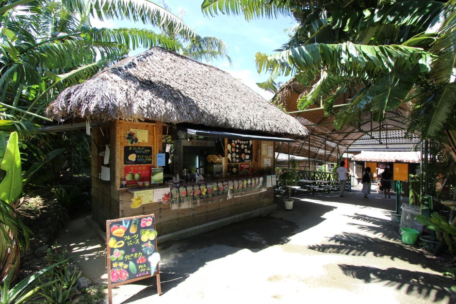 フルーツジュース専門店